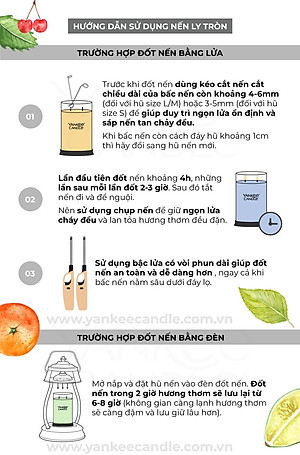 Nến ly tròn sáp đậu nành Yankee Candle size L (567g) - Bayside Cedar