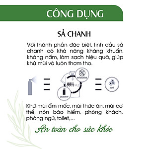 Xịt Phòng Tinh Dầu Sả Chanh Hữu Cơ Organic 24Care 50ML/100ML - Kháng khuẩn - Khử mùi hôi - Đuổi muỗi, kiến ba khoan,Vắt - Côn trùng - Hương thơm thư giãn.