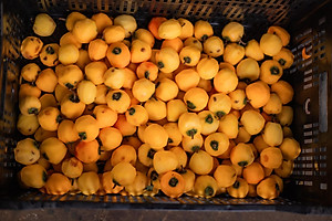 Hồng treo gió Đà Lạt 500g