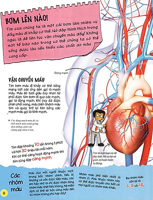 Sách Tìm Hiểu Về: Cơ Thể Người