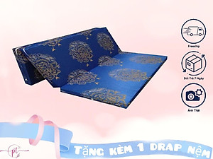 Nệm Bông Ép Cao Cấp Gấp 3 Dày 5cm Đủ Size ( Giao Màu Ngẫu Nhiên )