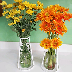 Bột Cắm Hoa Lily Tươi Lâu, Hiệu Longlife nhập khẩu Isarel (Bộ 30 gói)