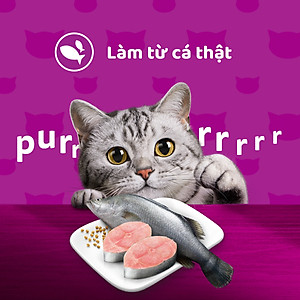 [Combo 12 Gói] Thức Ăn Cho Mèo WHISKAS 1+ years Vị Cá Ngừ, Cá Trắng 80g/Gói
