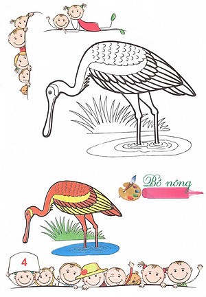 Sách Tô Màu - Mẫu Giáo - Các Loài Chim