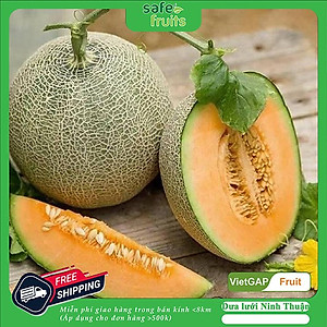 Dưa Lưới Hữu Cơ Ninh Thuận 1kg