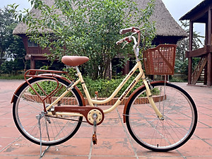 Xe đạp mini Wahama KOREA HQ 24/26 inch - Tặng khóa bánh sau, đồ lắp xe