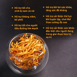 Đông trùng hạ thảo bán tự nhiên Dược Quý Đường hộp 20g - Hỗ trợ bổ phế, ích can thận, bồi bổ cơ thể