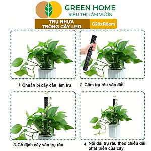 Trụ nhựa trồng cây, D20xR6cm, nhựa cứng, có khớp dễ nối dài, chuyên hệ cây leo, trầu bà, kiểng lá |Greenhome