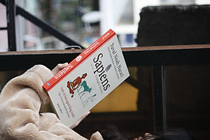 Sapiens - Lược Sử Loài Người Bằng Tranh - Tập 2 : Những Trụ Cột Của Nền Văn Minh 