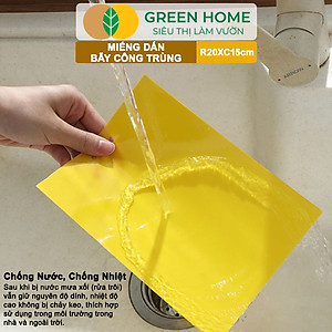 Bộ 10 Miếng Dán Bẫy Côn Trùng GreenHome, R20xC15cm, 2 Mặt, Hiệu Quả, Tiết Kiệm Chi Phí, Dễ Sử Dụng