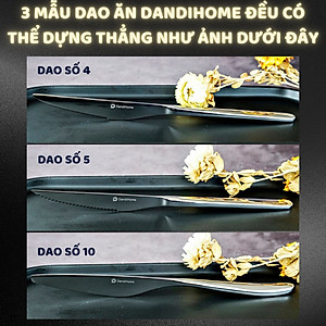 Bộ 6 dao ăn bít tết inox DandiHome 2020 cao cấp, sang trọng, tinh tế