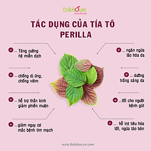 Bột Tía Tô sấy lạnh Dalahouse - Bổ phế phối, An thai, hỗ trợ giảm các triệu chứng cảm, ho, đau họng. Hỗ trợ điều trị GUT, đẹp da, trắng da
