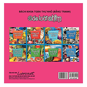 Sách Bách Khoa Toàn Thư Nhỏ (Bằng Tranh) - Các Loài Chim