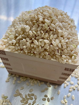 GẠO LỨT NHẬT HOKKAIDO YUMEPIRIKA 