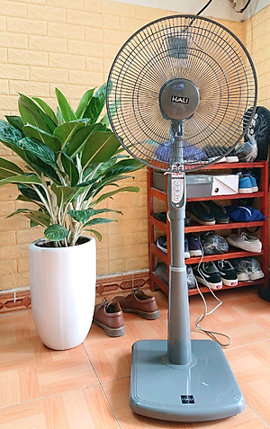 Quạt đứng Hali ST2-R có remote điều khiển từ xa - Màu ngẫu nhiên