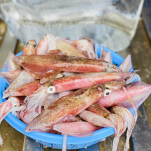 Mực Ghim Khay 500g