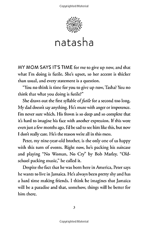 Sách The Sun Is Also A Star