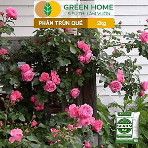 Phân Trùn Quế Greenhome, Bao 2kg, Dinh Dưỡng Hữu Cơ, Không Mùi, Tốt Cho Lan, Bonsai, Rau, Cây Ăn Trái