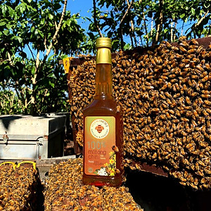 Combo Mật ong rừng Cao Nguyên - 100% mật ong chín Honimore 990g