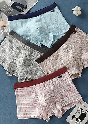 Hộp 4 quần lót nam boxer cotton cao cấp