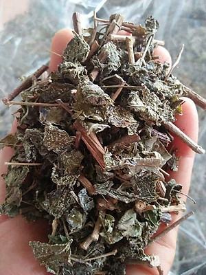 Chè dây (Trà dây) - Gói 1kg