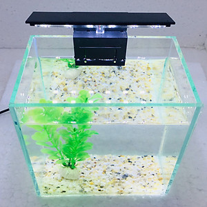 Đèn led kẹp cho bể cá mini thủy sinh