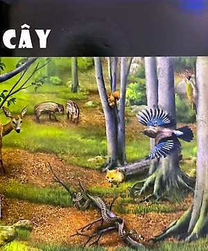 Tủ Sách Thế Giới Động Vật - Nơi Ở Và Thói Quen (Hình Minh Họa 3D)