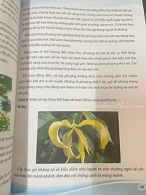 Combo 2 cuốn sách Chiến Thuật Viết Văn Tiểu Học Tập 1 + Tập 2