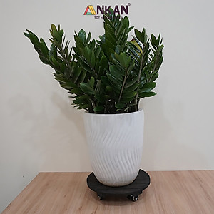 Đế Lót Chậu Cây Có Bánh Xe Cao Cấp ANKAN, Tròn Màu Xám Đen R35cm, Tải trọng 150 Kg, Di Chuyển Chậu Cây Êm Ái, Không Ồn