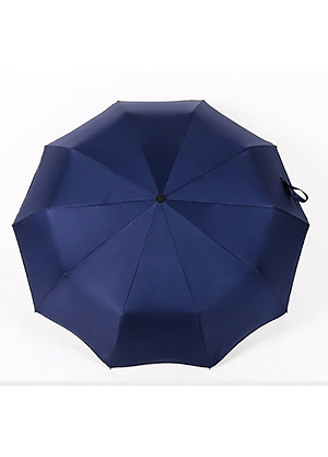 Ô Dù Tự Động Nhật - Hàng 10 nan cứng cáp 