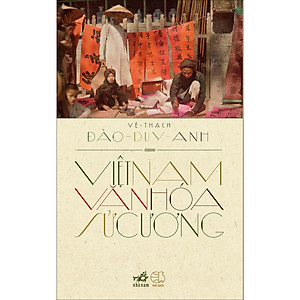Việt Nam văn hóa sử cương