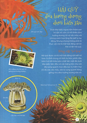 Sách Động Vật Xinh Đẹp