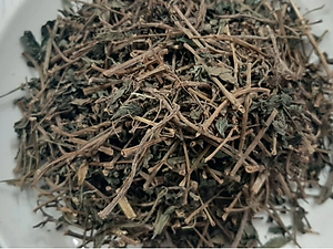 Cây dòi thân tím (Cây thuốc dòi - Cây bọ mắm - Cây dòi tím) - Sản phẩm khô làm trà - Gói 500gr