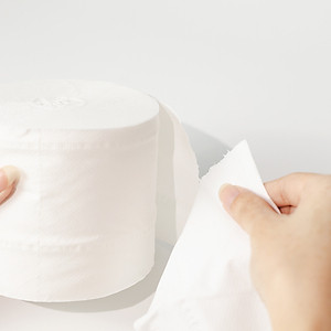 Giấy vệ sinh giấy cuộn cao cấp Ecotissue 3 lớp lốc 10 cuộn có lõi/không lõi cao cấp mềm dai tự nhiên