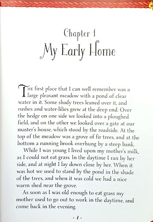 Mini Classics - Black Beauty