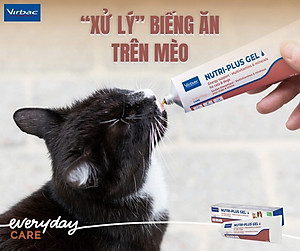 Nutri plus Gel - dinh dưỡng cao cấp cho chó mèo yếu và còi cọc 