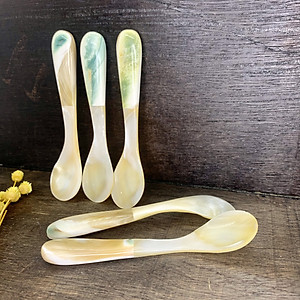 Thìa vỏ xà cừ - đuôi ốc biển cao cấp (CTH739) An kem/xúc gia vị/thìa cafe - An toàn cho sức khỏe 