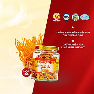 Đông Trùng Hạ Thảo Sấy Thăng Hoa Thiên Ân