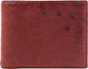 Ví Nam Huy Hoàng HT2407 (10 x 12.5 cm) - Nâu Đỏ
