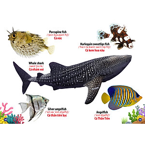 Từ Điển -Thư Viện Hình Ảnh Song Ngữ Đầu Tiên Của Bé - Động Vật Dưới Nước