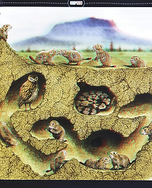 Sách Di Chuyển Và Di Cư