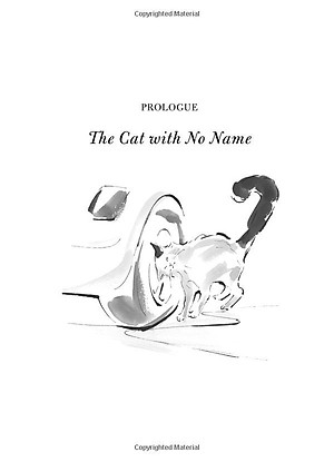 Sách The Travelling Cat Chronicles