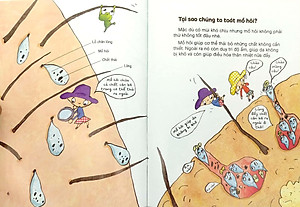 Sách Mùi Gì Thế Nhỉ? - Mồ Hôi