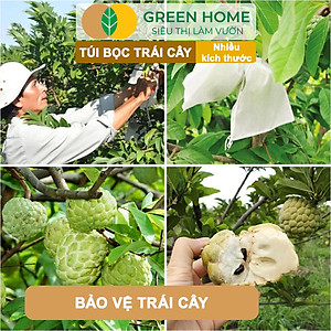 100 Túi Bọc Hoa Quả GreenHome, Ổi Bưởi Xoài Na Mướp (Có Nút Cài), Sử Dụng 3-5 Năm, Nhiều Kích Thước