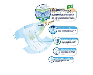 TÃ DÁN NGƯỜI GIÀ CARYN SIZE XL20 MIẾNG