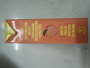 COMBO 4 HỘP NƯỚC VFRESH ĐÀO ÉP NECTA - HỘP GIẤY 1L