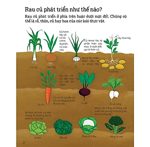 Sách Thế Giới Trong Tay Em - Bí Mật Về Các Loại Thức Ăn