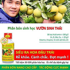 COMBO Phân bón lá sinh học VƯỜN SINH THÁI và Chế phẩm vi sinh trichoderma TRIBAC nấm đối kháng cực mạnh. Giúp cây bung đọt mạnh, rễ khỏe, cành chắc, ra hoa đậu quả nhiều. Khỏi lo tuyến trùng, nấm bệnh gây vàng lá thối rễ