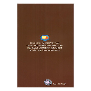 Việt Nam Phong Sử