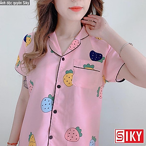 Bộ ngủ nữ pijama cộc tay dễ thương - BN06